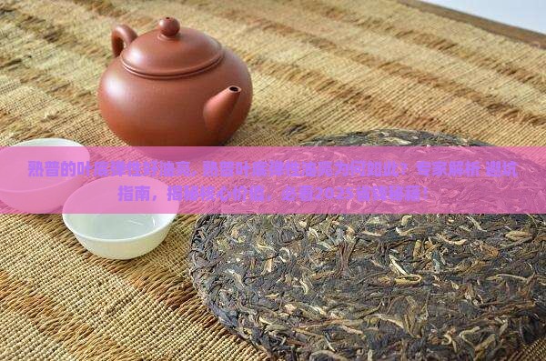 熟普的叶底弹性好油亮