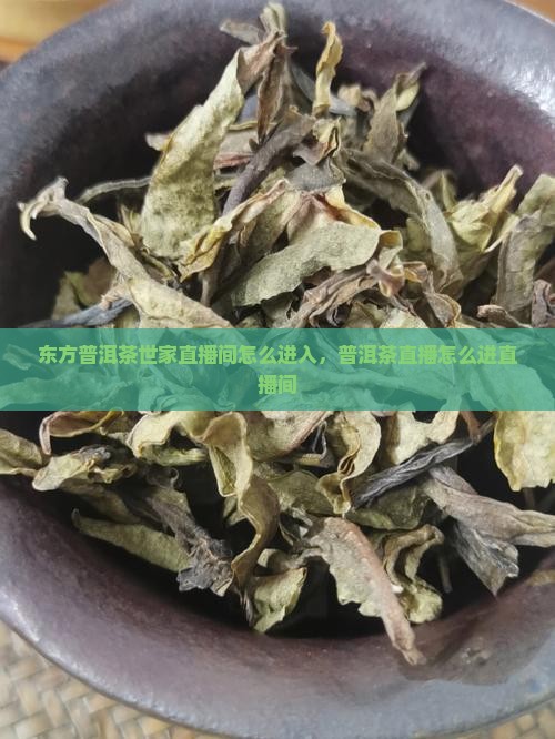 东方普洱茶世家直播间怎么进