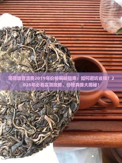 薄荷塘普洱茶2019年价格