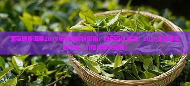 薄荷塘普洱茶2019年价格