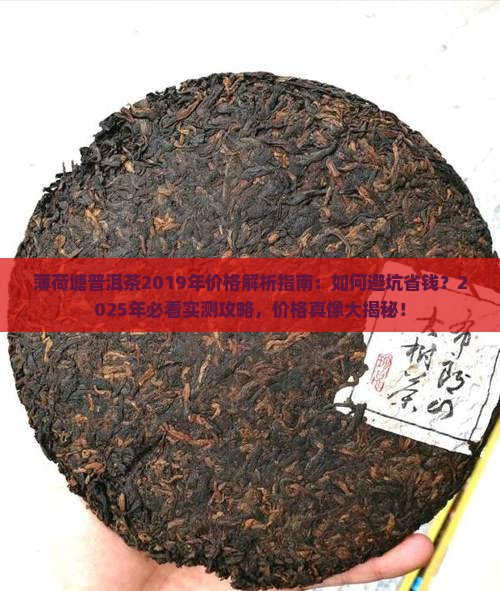 薄荷塘普洱茶2019年价格