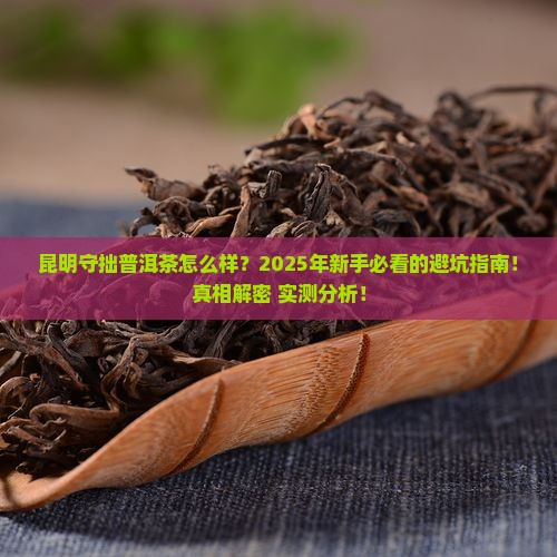 昆明守拙普洱茶怎么样