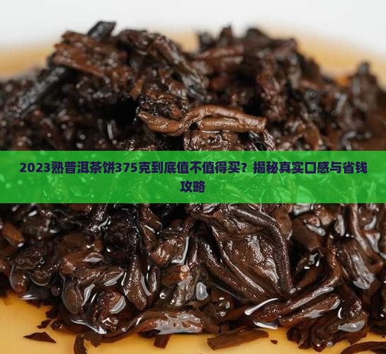 2023熟普洱茶饼375克