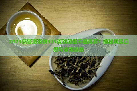 2023熟普洱茶饼375克