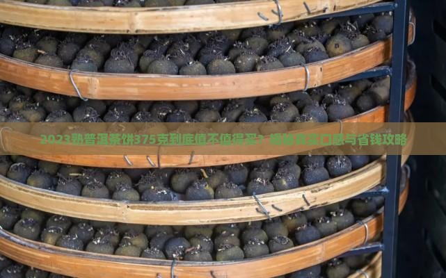 2023熟普洱茶饼375克