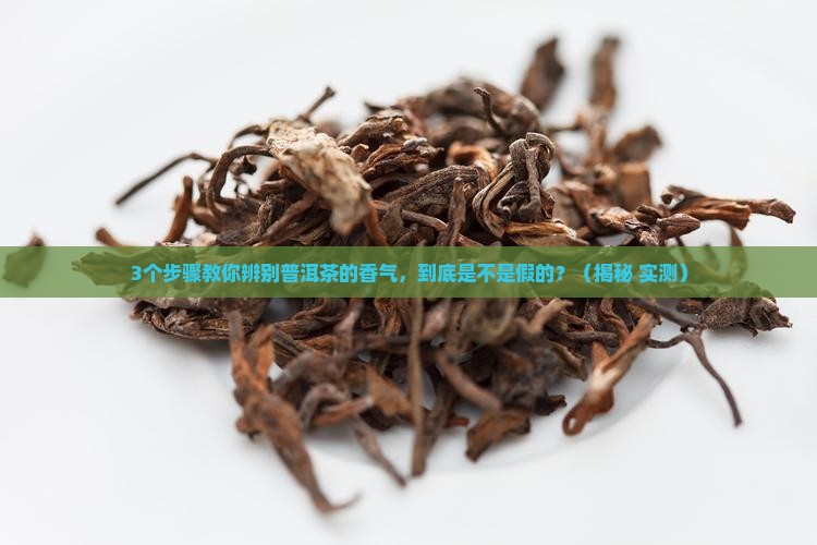 普洱茶的香气是什么样子