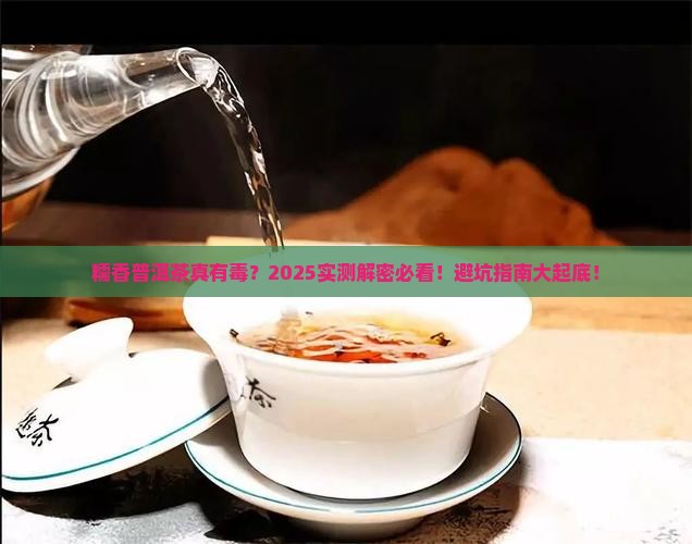 糯香普洱茶有毒吗