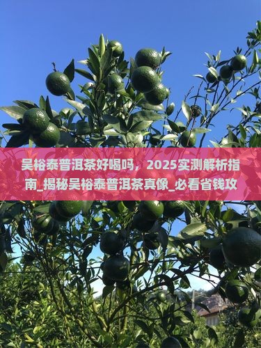 吴裕泰普洱茶好喝吗
