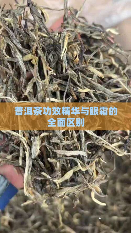 普洱茶功效精华和眼霜的区别