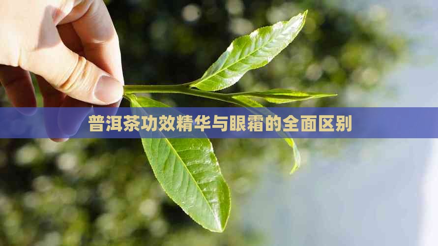 普洱茶功效精华和眼霜的区别