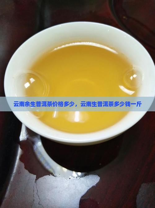 云南余生普洱茶