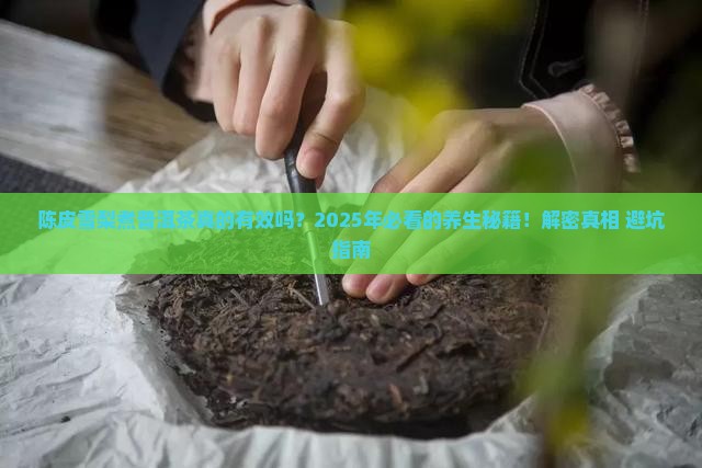 陈皮雪梨煮普洱茶的功效