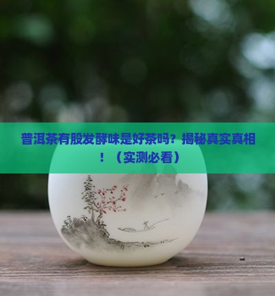 普洱茶一股发酵味道是好茶吗