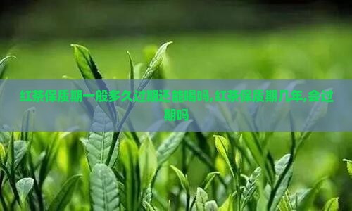 红茶保质期一般多久过期还能喝吗