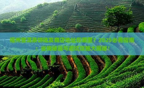 福州普洱茶饼批发商店地址