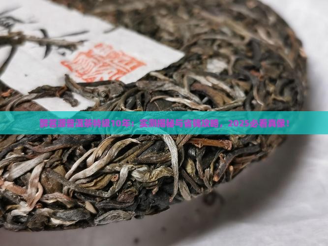 醉茗源普洱茶特级10年