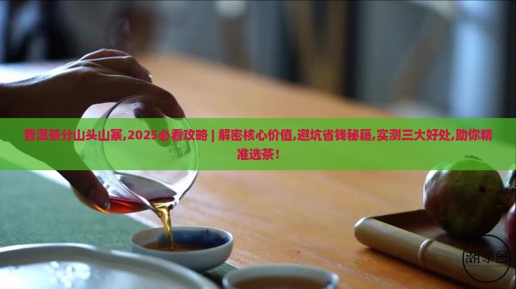 普洱茶分山头山寨