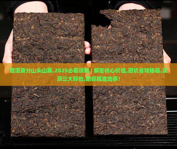 普洱茶分山头山寨