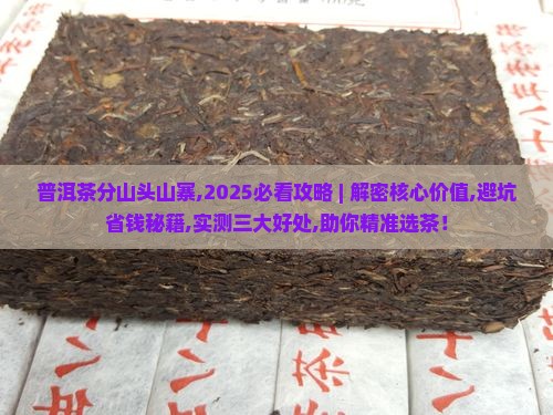 普洱茶分山头山寨