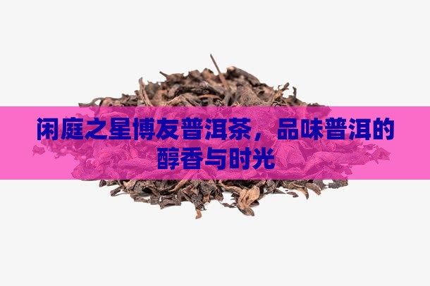 闲庭之星博友普洱茶