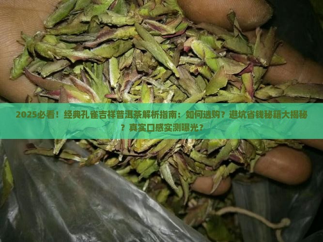 经典孔雀吉祥普洱茶