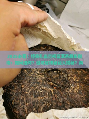 经典孔雀吉祥普洱茶