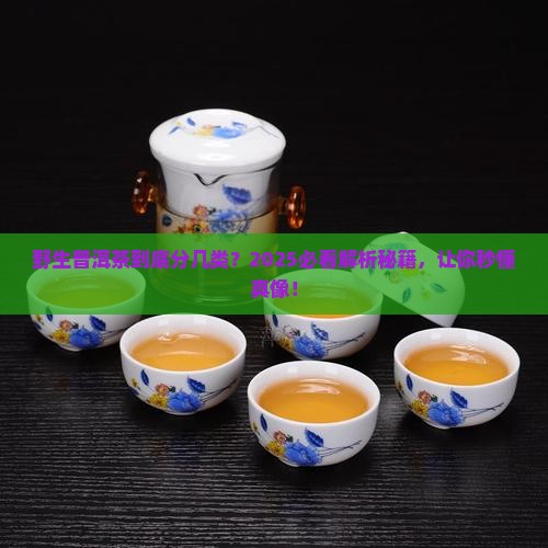 野生普洱茶有哪几种茶类