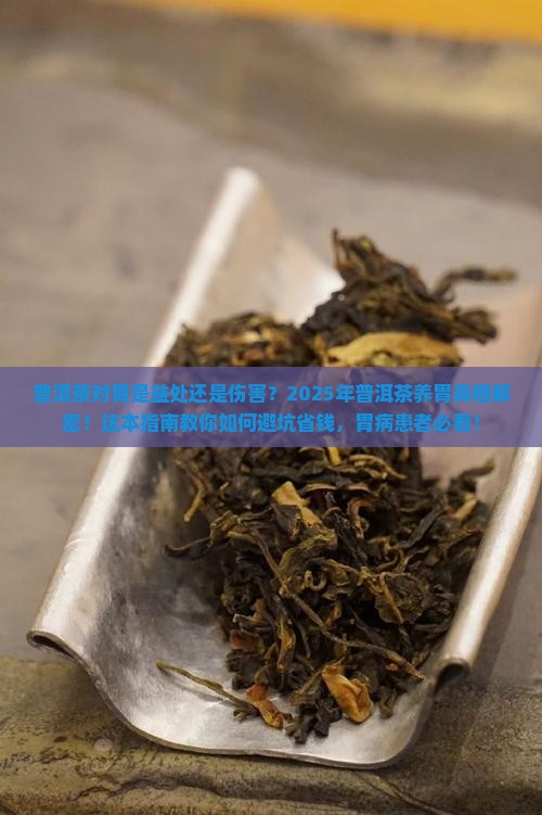 普洱茶对胃的益处和坏处