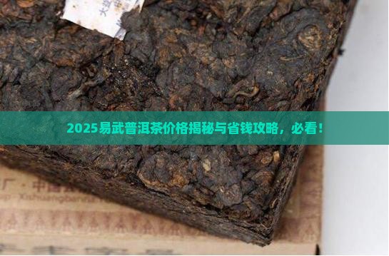 2019易武普洱茶价格表