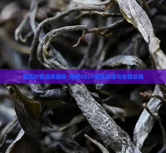 高压对普洱茶催陈