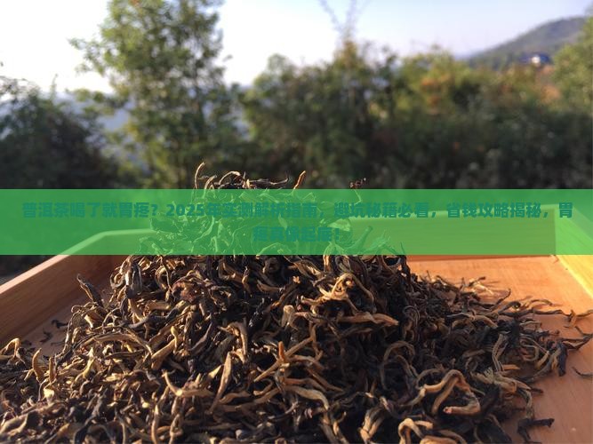 普洱茶喝了就胃疼