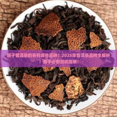 属于普洱茶的茶有哪些品种