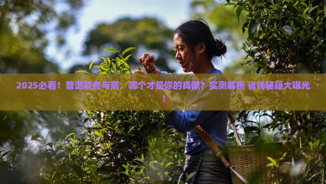 普洱茶用煮的好还是蒸的好