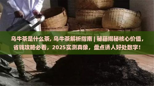 乌牛茶是什么茶