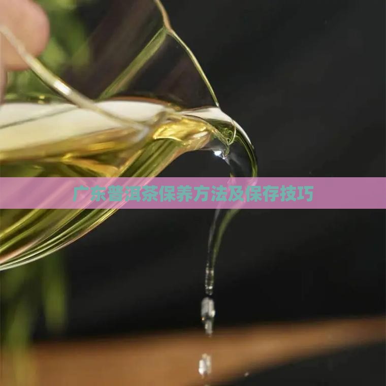广东普洱茶保养