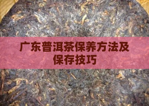 广东普洱茶保养