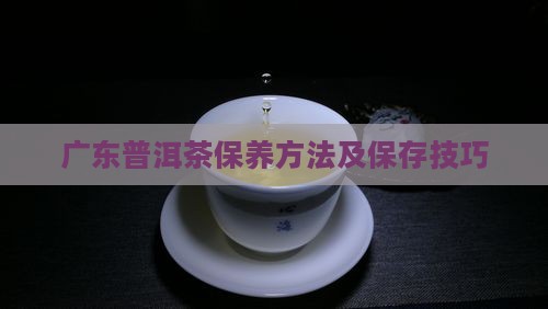 广东普洱茶保养