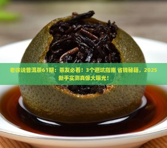 老徐说普洱茶61期