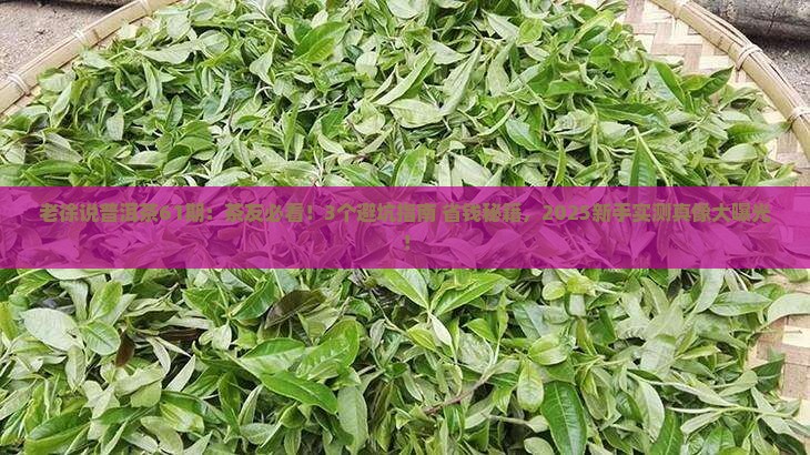 老徐说普洱茶61期