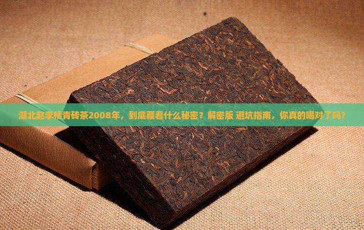 湖北赵李桥青砖茶2008年