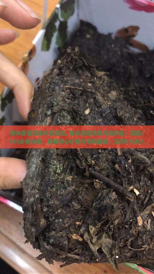 糯米香普洱茶与苦荞麦