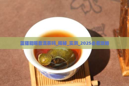 蓝猫能喝普洱茶吗
