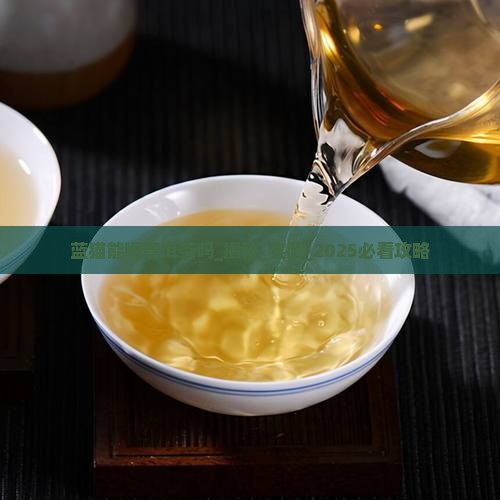 蓝猫能喝普洱茶吗