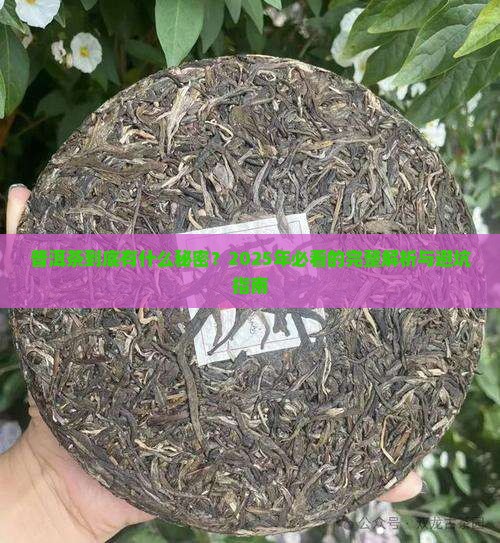 普洱茶有哪些要素