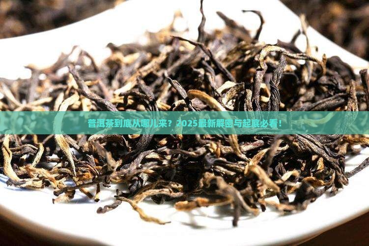普洱茶采摘来源哪里