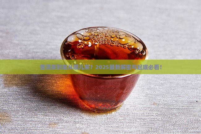 普洱茶采摘来源哪里
