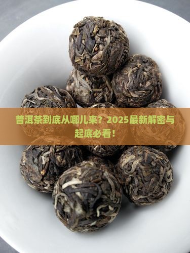 普洱茶采摘来源哪里