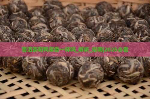 普洱茶和鸭屎香一样吗