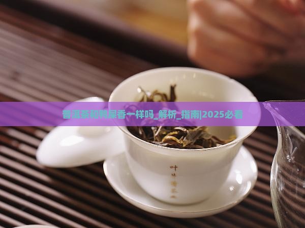普洱茶和鸭屎香一样吗