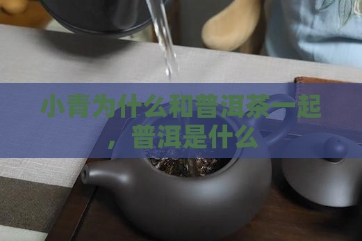 小青柑为什么和普洱茶一起